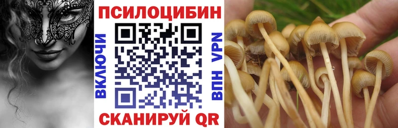 Псилоцибиновые грибы GOLDEN TEACHER  Купить где  Бузулук 