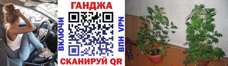 Бошки Шишки гибрид  Купить где  Бузулук 